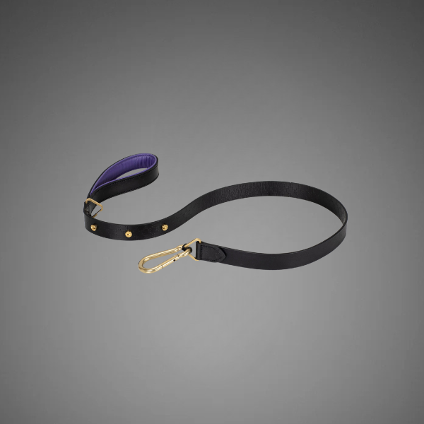 Dog Lead