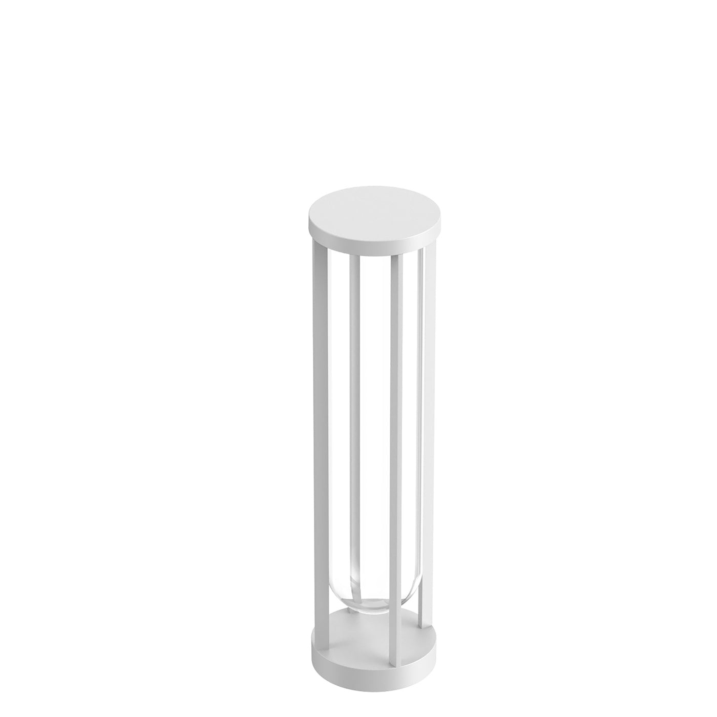 IN VITRO BOLLARD