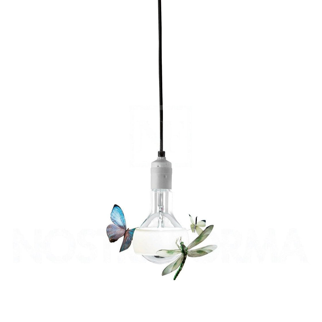 Johnny B.Butterfly
