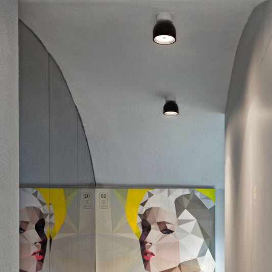 Wan Ceiling/Wall