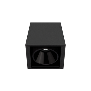 BLACK FOSTER SURFACE