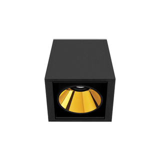 BLACK FOSTER SURFACE