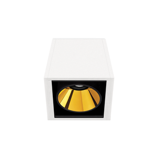 BLACK FOSTER SURFACE